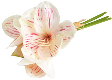 Botanic-Haus künstliches Amaryllis Bündel (weihnachtliche Blume) mit 3 Blüten und 1 Knospe Farbe: Creme-Beauty