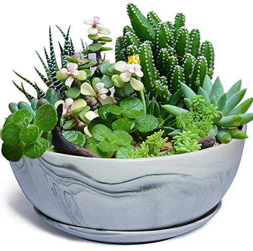 G EPGardening 25,4 cm großer Blumentopf aus Keramik mit Marmor-Muster für Sukkulenten und Sukkulenten