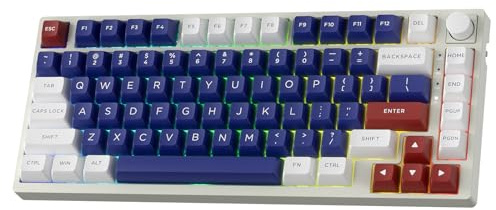 LTC Nimbleback NB831 Teclado mecánico inalámbrico 75% 3 modos BT5.0/2.4Ghz/USB-C con cable intercambiable en caliente, teclado compacto RGB de 81 teclas con perilla, almohadillas absorbentes de