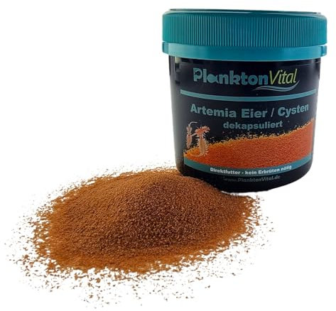 PlanktonVital Artemia Eier dekapsuliert entkapselt ohne Schale Brine Shrimp Eggs Salinenkrebse Cysten Aufzuchtsfutter kein Erbrüten direktes verfüttern für Fischlafen Jungbrut Garnelen (100 ml)