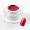 5 ml exclusives UV Colorgel/Farbgel/Glittergel - Glimmer Mia-Jolie - 107-071