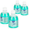 4x aktive Hygiene Handseife - erfrischende & sensitive Hygiene-Seife für die Hände - Hand-Waschlotion - 300ml je Flasche (04 Stück)
