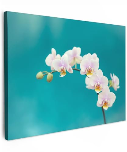 MuchoWow© Stampa Foto su Tela 70x50 cm Quadro Moderno Soggiorno Quadretti da Parete Decorazioni Casa Orchidea - con Fiori - Pianta - Bianco - Viola