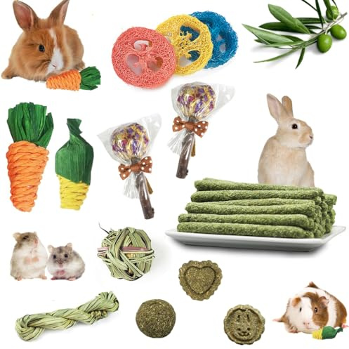 Shalwinn 17 Pcs Jouet pour Lapin à Mâcher, Bâtonnets de Foin Naturel Timothy, Accessoire pour Lapin