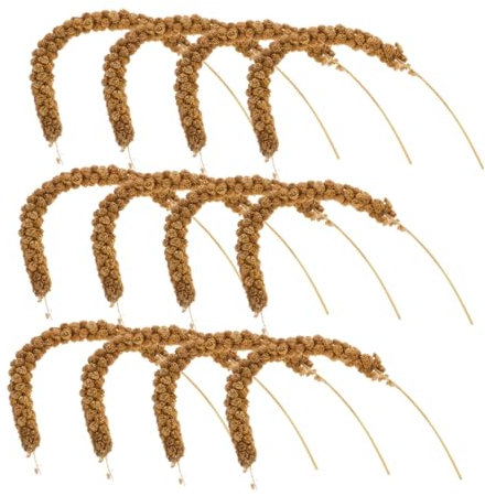 TOYANDONA 1 Satz Papageienfutter Natürliche Trockenfrüchte für Vögel für Wellensittiche und Nymphensittiche Gesundes und Vogelfutter zur