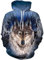 Loveternal Pullover Damen Winter Hoodie Herren mit Kapuze 3D Wolf Druck Hoody Langarm Herbst Sweatshirt Pulli Mit Taschen für Männer Frauen XL