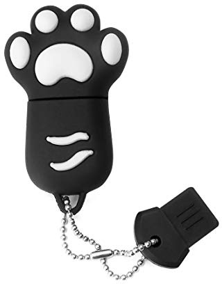 HOZYALE USB Flash Drive Cute Cartoon Shape USB 2.0 Memory Stick Pen Drives with Gift Box (16GB, Paw)