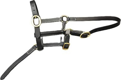 Cwell Equine Fohlen-Halfter, Leder, Schwarz