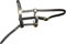 Cwell Equine Fohlen-Halfter, Leder, Schwarz