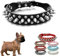 HimyBB Hundehalsband mit Nieten, Nieten, verstellbar, PU-Leder, Schwarz, Größe XS