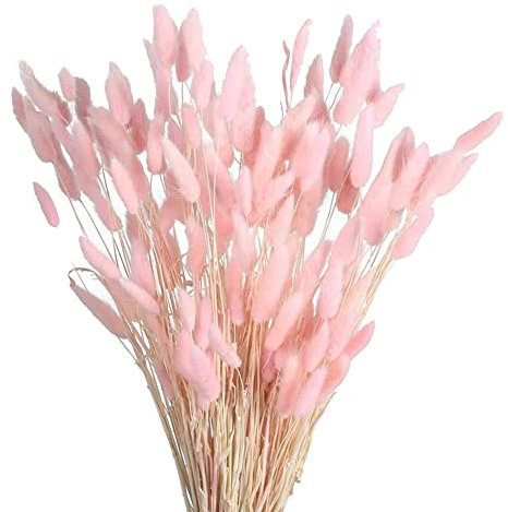 OPLLER 60 StüCk Getrocknete Herbstblumen, HäSchenschwäNze, Getrocknete Blumen, Lagurus, Ovatus, Kaninchenschwanz, Gras für Getrocknete Blumen (Rosa)