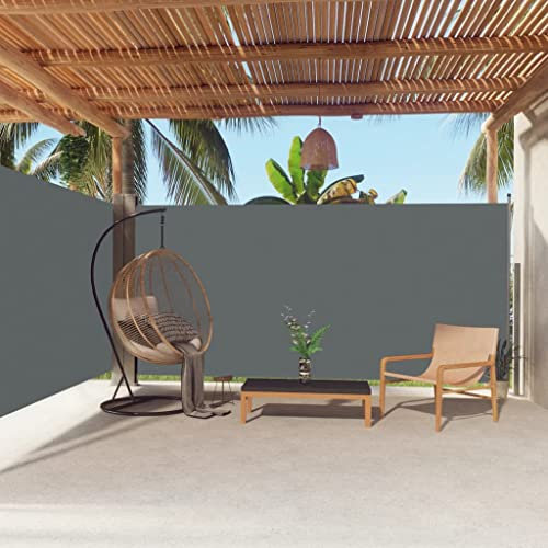 puraday 180x600 cm Seitenmarkise Ausziehbar Anthrazit Terrassen-Sichtschutz Stilvolle Seitenmarkise Sichtschutz Balkon Seitenwand Wind- Und Sonnenschutz Sichtschutz Und Einfache Installation