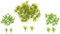 Aulande 100Pcs Green Scenery Model Grass Shrubs Bush Railway Diorama Accessory (Green, 100pcs-4)