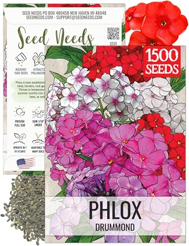 Seed Needs Annual Phlox Seeds for Planting a Colorful Mixture of Flowers - Heirloom & Open Pollinated Wildflowers to Attract Butterflies and Other Pollinators to an Outdoor Garden (1 Pack)