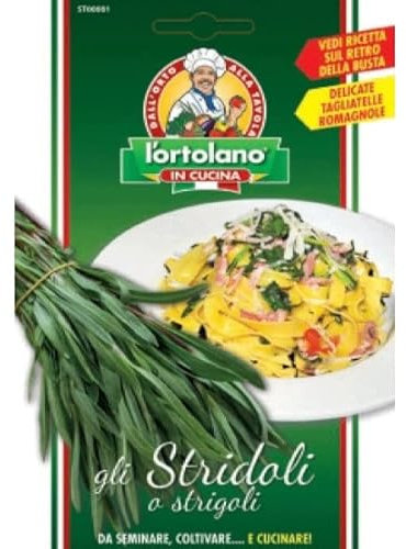 SEMENTI DI ORTAGGI DI VARIETA' STRANE & BUONE IN BUSTINE PER USO HOBBYSTICO (stridoli o strigoli)