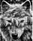 DCIDBEI Diamond Painting Perles Carrés Loup 40x50 cm Square Diamond Painting Loup Peinture Numero Adulte Loup Diamond Painting Loup Blanc Diamond Painting Paysage Forêt Broderie Diamant Paysage