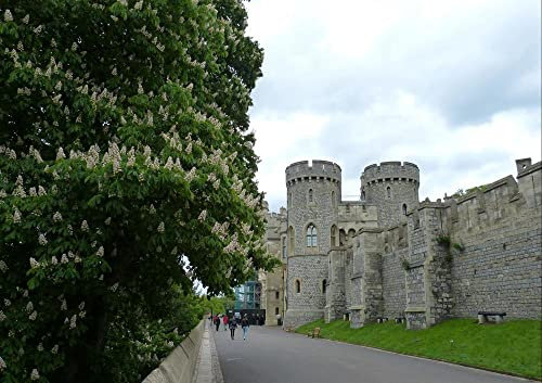 hansepuzzle 22873 - Windsor Castle Puzzle 130 Teile | Reisen Puzzle mit hochwertiger Puzzle Aufbewahrung: Kartonbox und wiederverschließbarem Beutel | Puzzle-Maße: 28,7 x 20 cm
