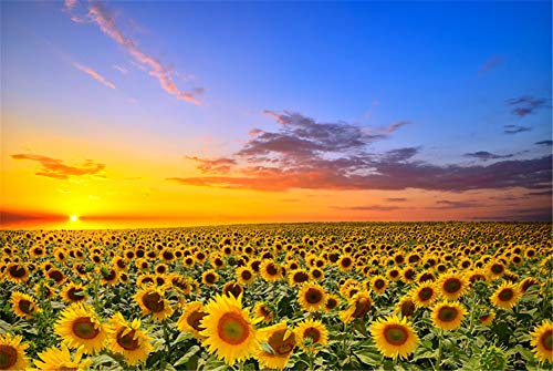 SUPERPOWER® 1000 Pièces Fleur de Tournesol Paysage Coucher de Soleil de Mer Adultes Jouets en Bois Jigsaw Puzzles Famille Photo Cadre Cadeaux