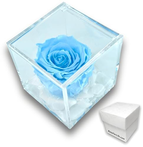 PREMIUM ROSE - Cubo Rosa Stabilizzata 8 cm con Marmo di Carrara - Rosa Eterna Stabilizzata Made in Italy - Idea per Battesimi e Doni Simbolici - Azzurro A 1084