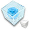 PREMIUM ROSE - Cubo Rosa Stabilizzata 8 cm con Marmo di Carrara - Rosa Eterna Stabilizzata Made in Italy - Idea per Battesimi e Doni Simbolici - Azzurro A 1084