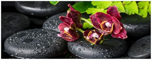 Wallario Küchenrückwand selbstklebend 115 x 50 cm, Motiv: Dunkelrote Orchideen-Blüte auf schwarzen Steinen mit Regentropfen | Spritzschutz abwischbar & pflegeleicht
