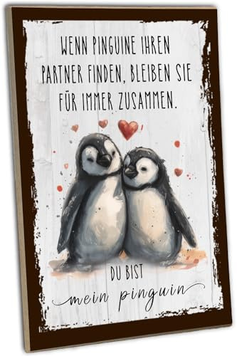 schilderkreis24 - Personalisiertes Holzschild für Paare - Du bist mein Pinguin - Namen anpassbar