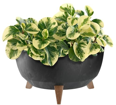 KADAX Pot de Fleurs en Plastique sur Trois Pieds, Effet Bois Élégant pour Sublimer la Décoration de Votre Maison et Jardin, Intérieur et Extérieur (Noir, 39.5 cm)