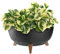 KADAX Blumentopf aus Kunststoff mit DREI Einsteckstützen, runde Blumenschale, Pflanzkübel, Blumenkübel, Pflanzschale für Balkon, Wohnzimmer (Schwarz, ⌀ 39,5cm)