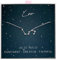 ALoveSoul 925 Sterling Silver Constellation Horoscope Zodiac Leo Necklace, Gift for Women Girls