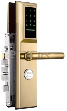 ThikK Password Intelligent Lock Anti-theft Door Special Electronic Smart Card Locks Gold 304 Stainless Door Lock 1068(Gold)