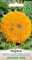 WegAna Orange Sun semi di girasole medio-alti 1g, piante annuali fiori estivi, piante da giardino piante da balcone, semi di fiori, semi di fiori, magnete per api