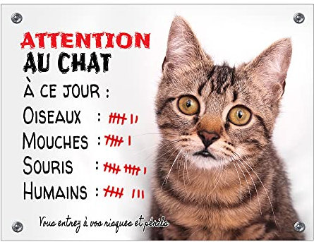 Plaque attention au chat panneau pancarte en aluminium humour chat tigré fauve poil court