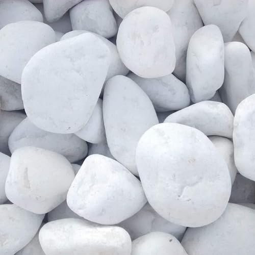 Vegara Stone Piedra Jardín Decoración Canto Rodado Blanco Puro (20, 6-10 cm)