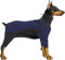 Hundemantel Wasserdicht, Warmer Hundemantel, Winddichte Winter-Hundebekleidung für Kaltes Wetter, Hundejacke mit Reißverschluss und Stehkragen für Mittlere Hunde (XS,Schwarz Blau)