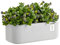 botle Blumentopf aus Keramik Blumenübertopf Gehäuse Farbe Elfenbein 30 cm H10,5 cm Mat Oberfläche Modern Glamour
