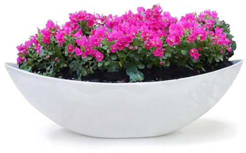 matches21 HOME & HOBBY Ovale Pflanzschale als große 55 cm Vintage Outdoor Deko-Schale hell-grau