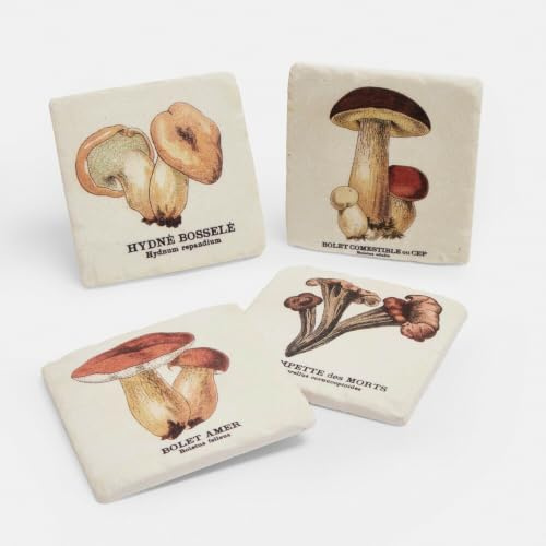 LOBERON Untersetzer 4er Set Jandoria, bunt | Pilz-Motive im Vintage-Stil - Naturstein-Optik - Schützende Korkunterseite - Tischaccessoires - Herbsttafel - Harz