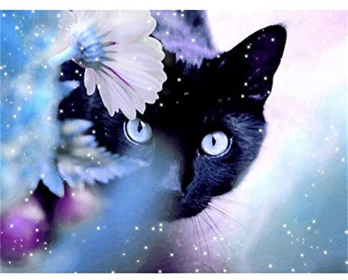 Meecaa Malen nach Zahlen Blume Katze Tier Chrysantheme Kit für Erwachsene Anfänger DIY Ölgemälde 40,6 x 50,8 cm (Blume und Katze, ohne Rahmen)