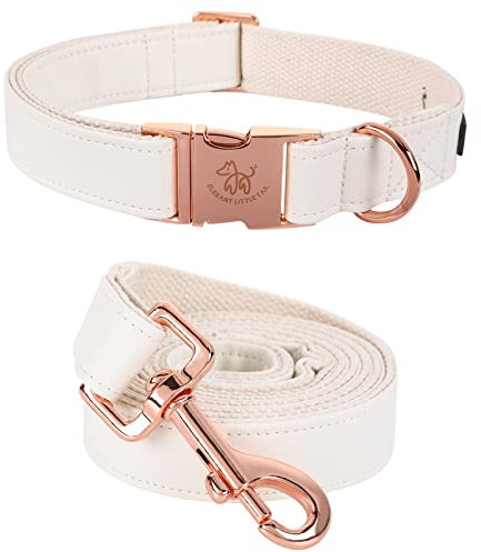 Elegant little tail Hundehalsband und Leine aus Leder, Weiß, strapazierfähiges Hundehalsband, Mädchen- oder Jungenhalsband, verstellbare Hundehalsbänder für kleine Hunde,Hals 25,4-40,6 cm