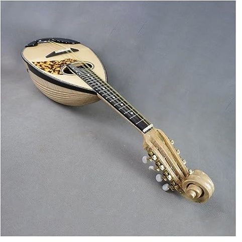 Professional Mandolin Musical Instrument Solid Spruce panel maple back with case