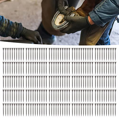 Chiodi Per Ferro di Cavallo da 250 Pezzi Strumenti Portatili Per Maniscalco Acciaio Ad Alta Durezza E Basso Tenore di Carbonio Per Allevamento di Animali E Ferratura di Cavalli Ideale Per Maniscalchi