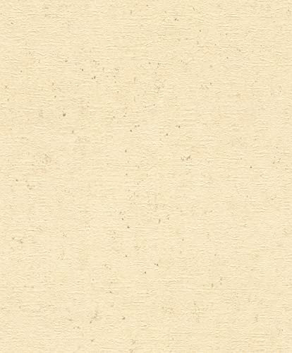 Rasch Tapeten Vliestapete (universell) Beige 10,05 m x 0,53 m Concrete 520842