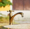 Außenhof-Wasserhahn Küche einzelnes kaltes Marmorbecken Außenwasserhahn, einfach kalt [kann an die Wasserleitung angeschlossen werden]]