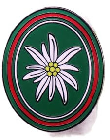 AnsonBoy WWII German Mountain Troop Edelweiß Abzeichen Award Brosche