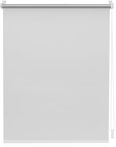 Lichtblick Thermo-Rollo Verdunkelung ohne Bohren Hellgrau 110 cm x 150 cm (B x L)