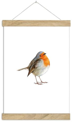 fioniony Poster Kunstdruck A3 ROTKEHLCHEN UNGERAHMT Garten-Vögel Vogel Kinderzimmer Artzpraxis Gartenliebhaber Schulanfang Kindergarten