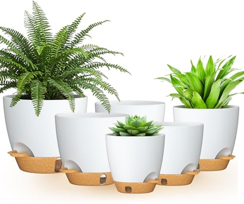 FIASON Self Watering Plant Pots Indoor, 6 Pack Plastic Plant Pots with Water Level Window & Drainage Holes, Flower Pots with Saucers for Succulents Herbs Orchid, Modern Indoor Outdoor Planter, White
