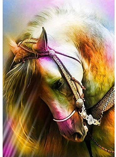 5D Diamond Painting Diamant Malerei Painting Bilder, Wowdecor Schönes Weiß Pferd Tiere Full Set Groß DIY Diamant Gemälde Malen Nach Zahlen