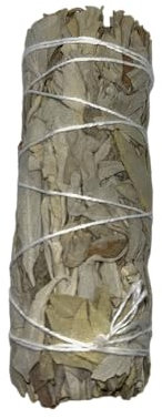 Sauge blanche de Californie - Écologique et durable - 100 % original - Purification, nettoyage énergétique et harmonie - 10 cm HOSTENATURA