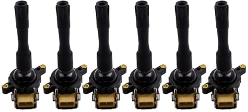 Zündspulen kompatibel für BMW X5 Z3 E53 E36 2.0 8 3.0 Coupé Cabriolet 12131748018 5C105 12137599219